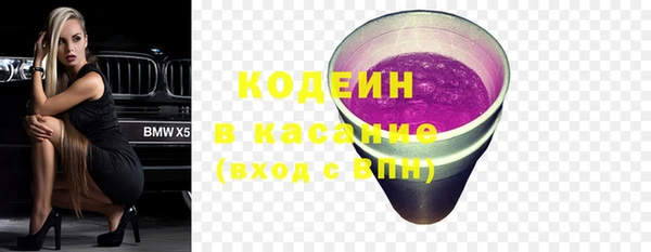 шишки Переславль-Залесский