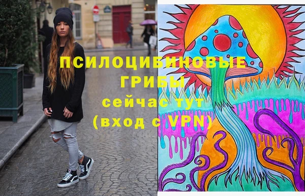 ALPHA PVP Алексин