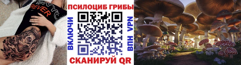 Псилоцибиновые грибы Psilocybe  площадка какой сайт  Сосновка 